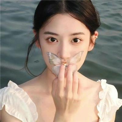 布格迪先生