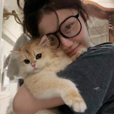 艾莉塔:战斗天使